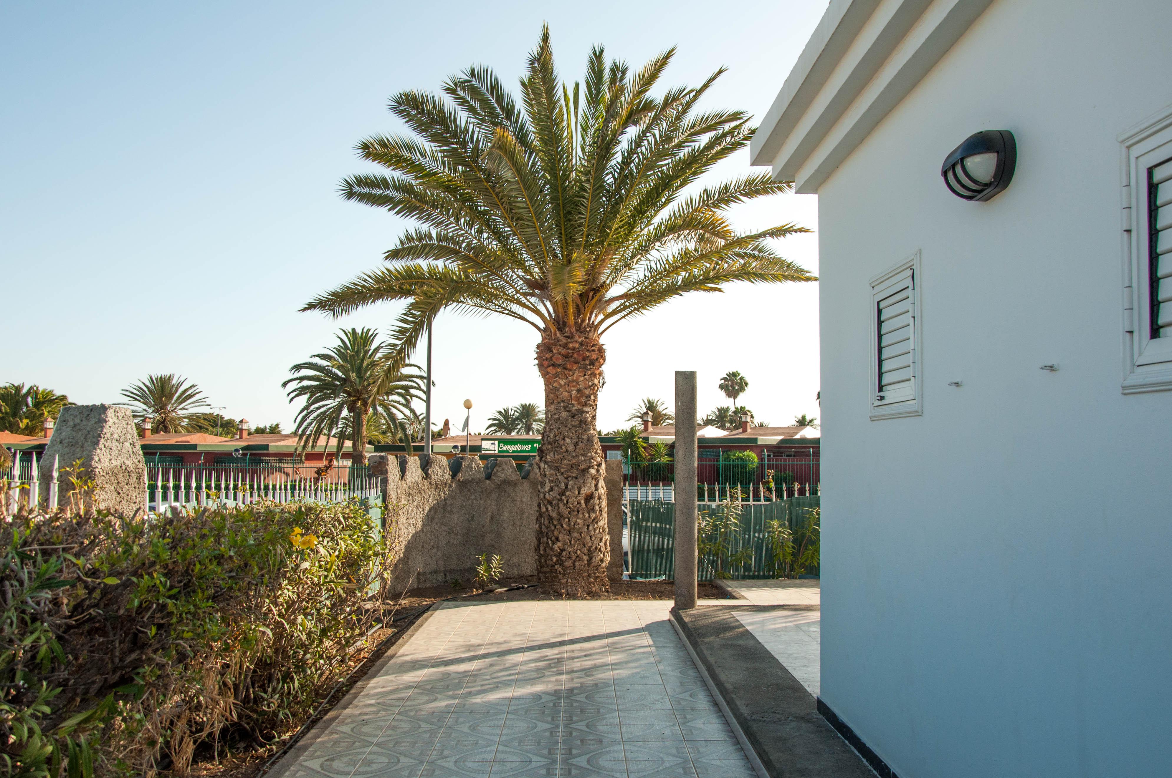 Bungalows Las Almenas マスパロマス エクステリア 写真