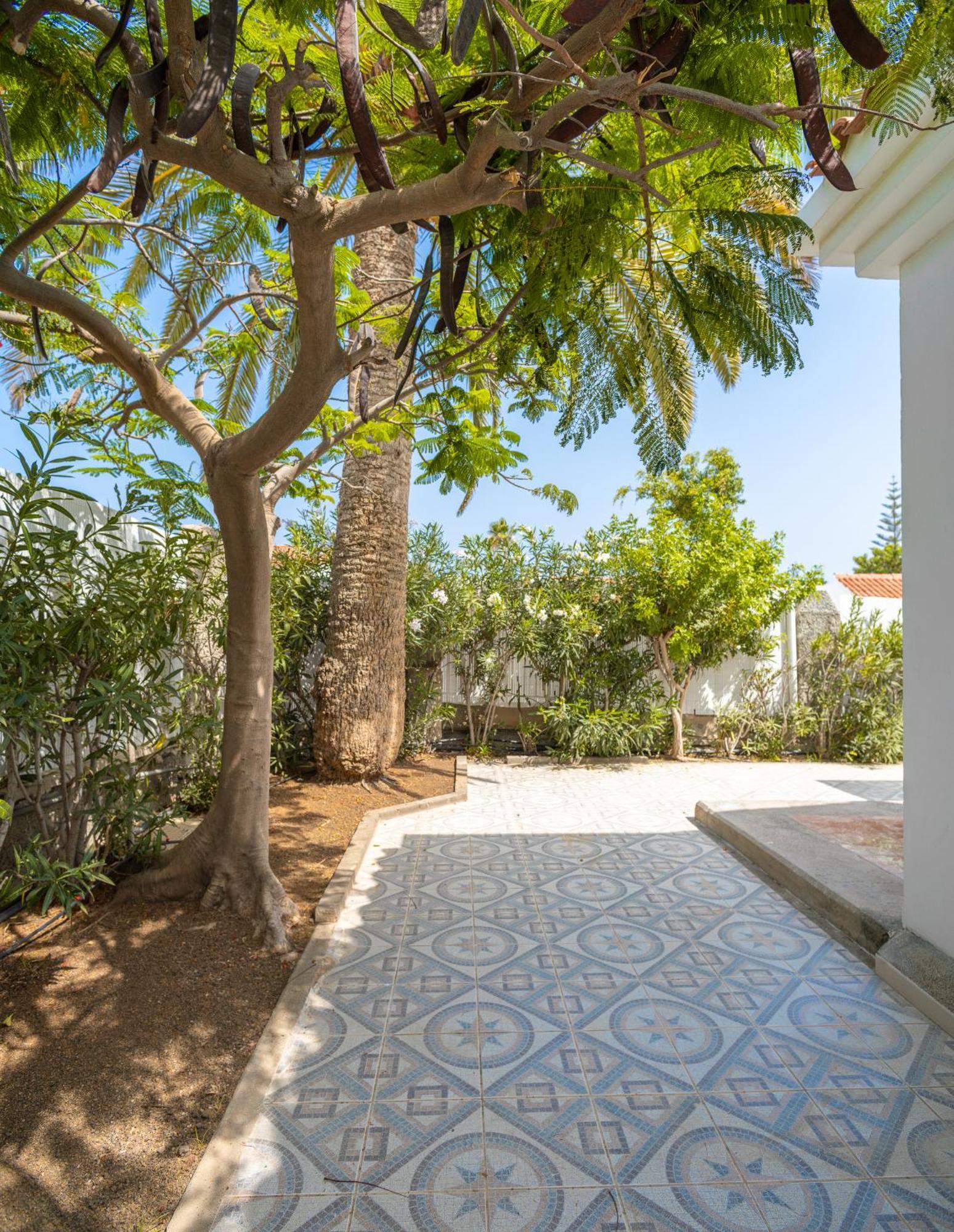 Bungalows Las Almenas マスパロマス エクステリア 写真