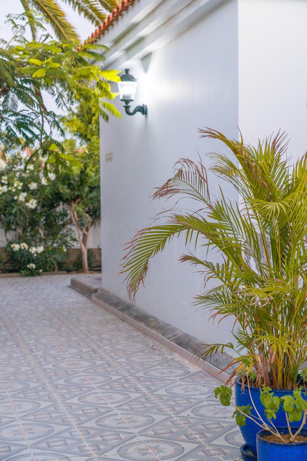 Bungalows Las Almenas マスパロマス エクステリア 写真